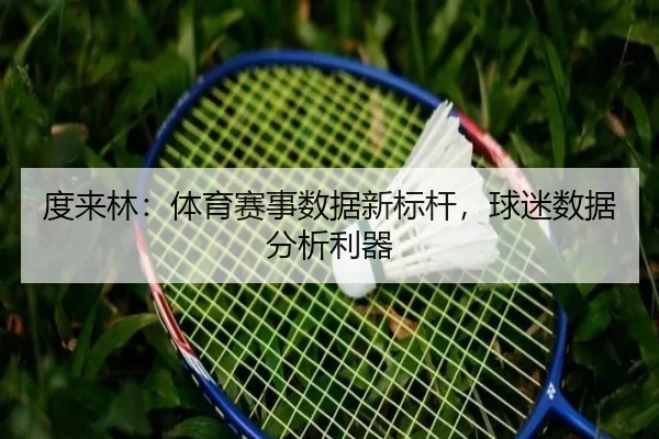度来林：体育赛事数据新标杆，球迷数据分析利器