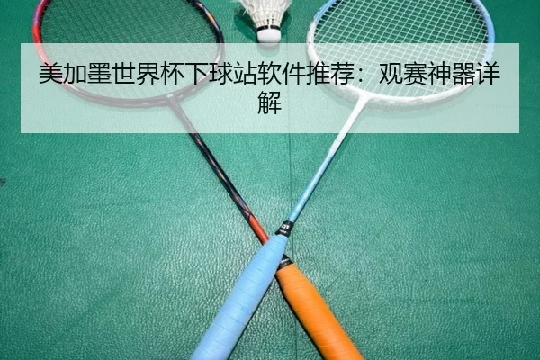美加墨世界杯下球站软件推荐：观赛神器详解