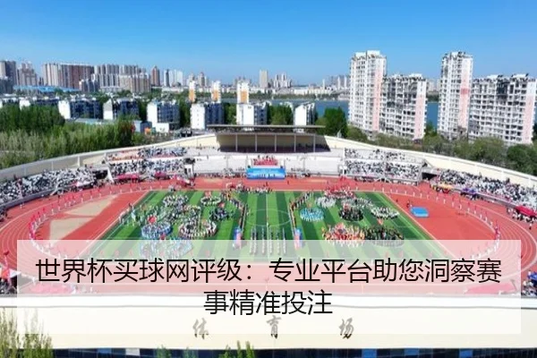 世界杯买球网评级：专业平台助您洞察赛事精准投注